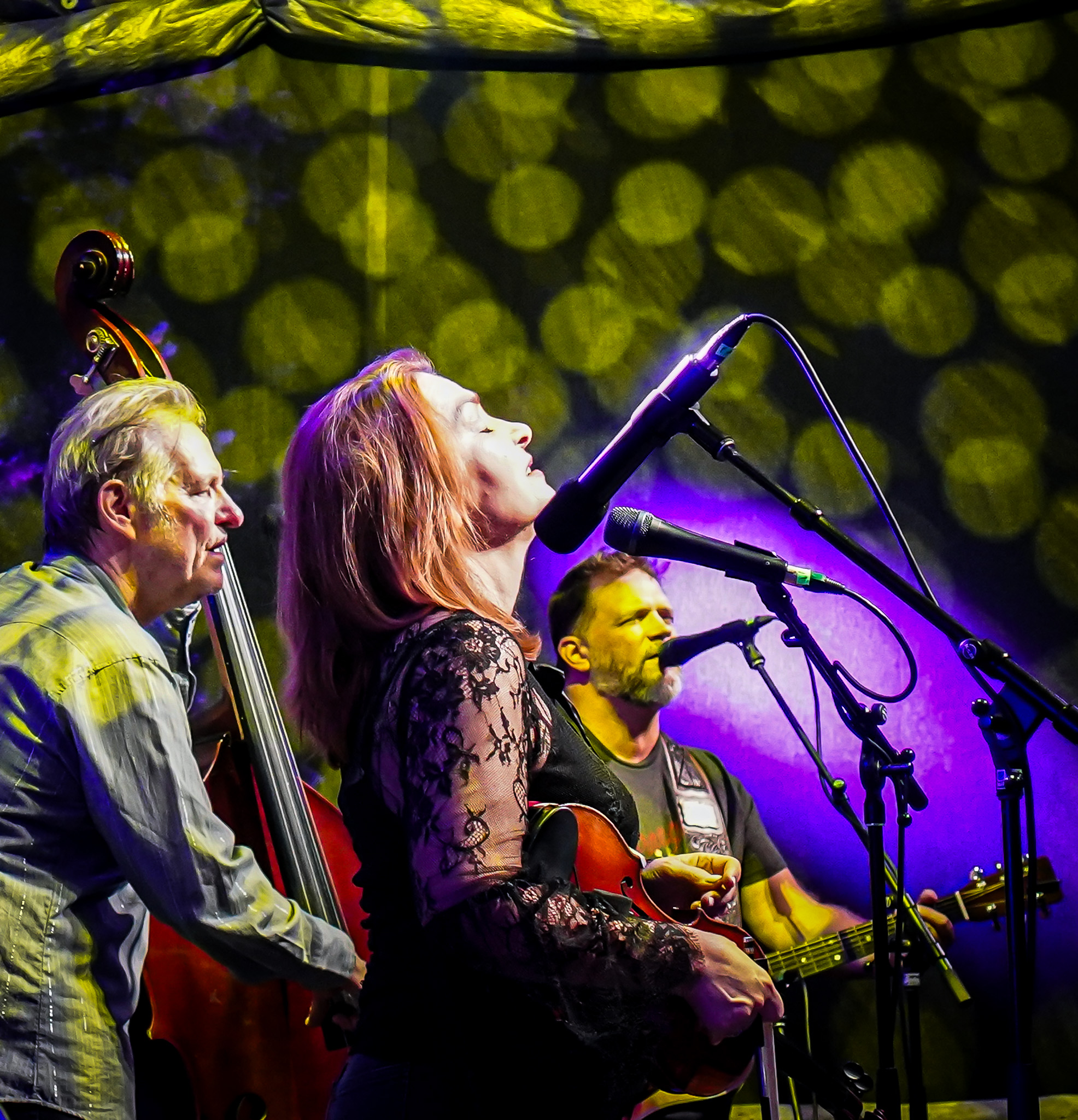 The Steeldrivers